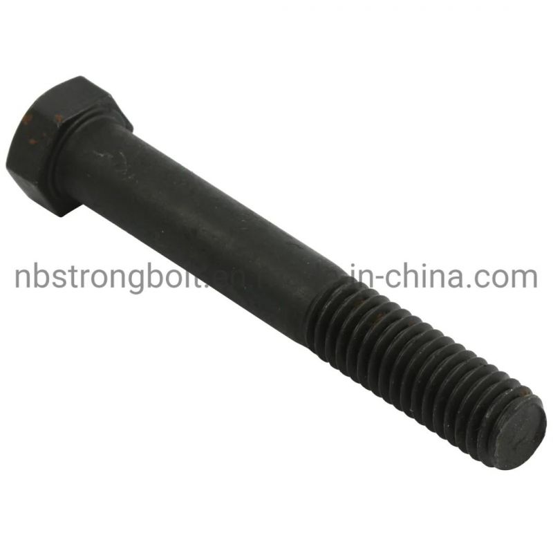 SAE J 429 Hex Head Cap Screw with Black From China
