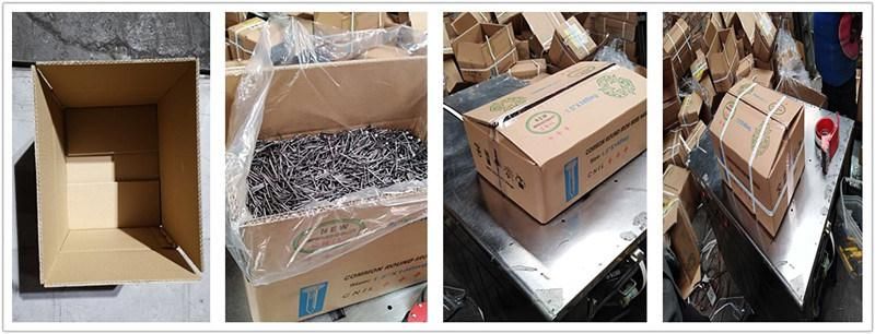 China Factory Premium Quality Building Materials Bright Polished Ring Shank Nail for Construction
