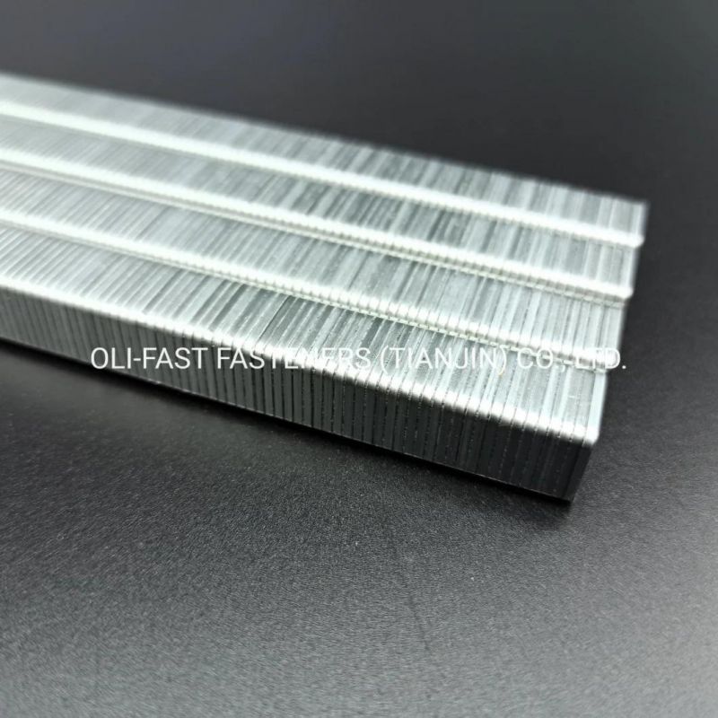 20ga 10j Series Staples Factory Manufacture with High Quality 1013j