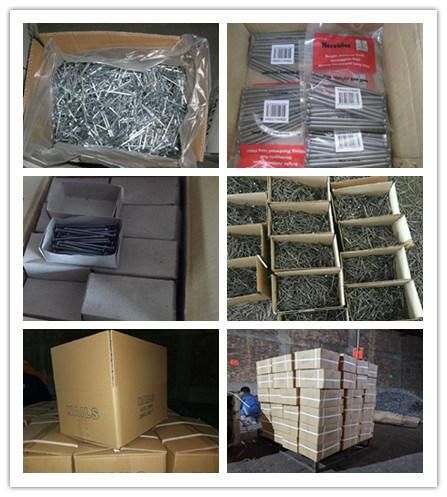 China Direct Factory Sale Large Head Roofing Nails Flat Clout Nails,