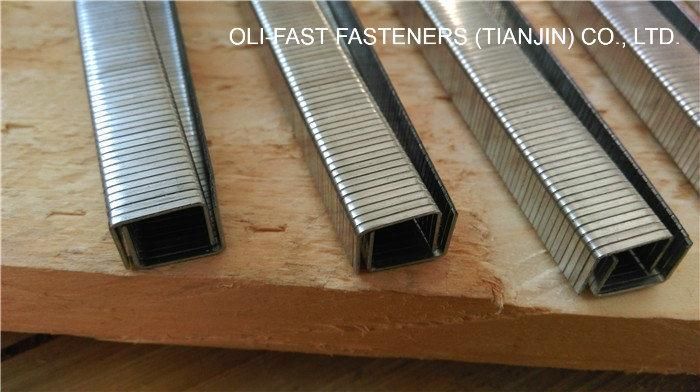 20ga A11 Staples, Arrow T50 Staples, 3/8" Flat Crown, for All T50 and T55 Arrow Tackers