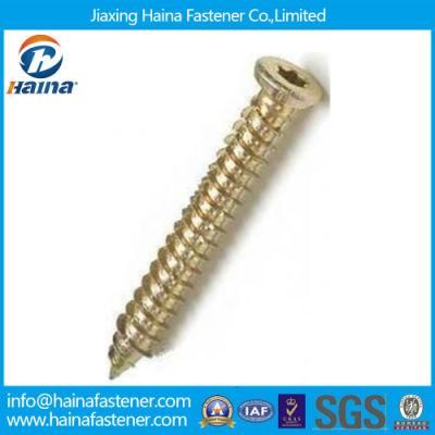 Zinc Plated Concrete Screws, Torx 30/Torx25 From Manufactory