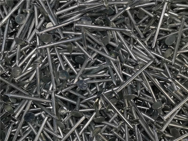 China Factory Premium Quality Building Materials Gal. Common Nail Clavos 4 Pulgadas