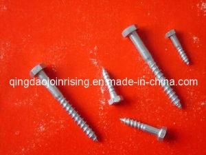 DIN571 Wood Screws