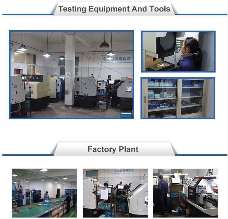 Male Adapter X Male Thread Camlock Hose Coupling Type F