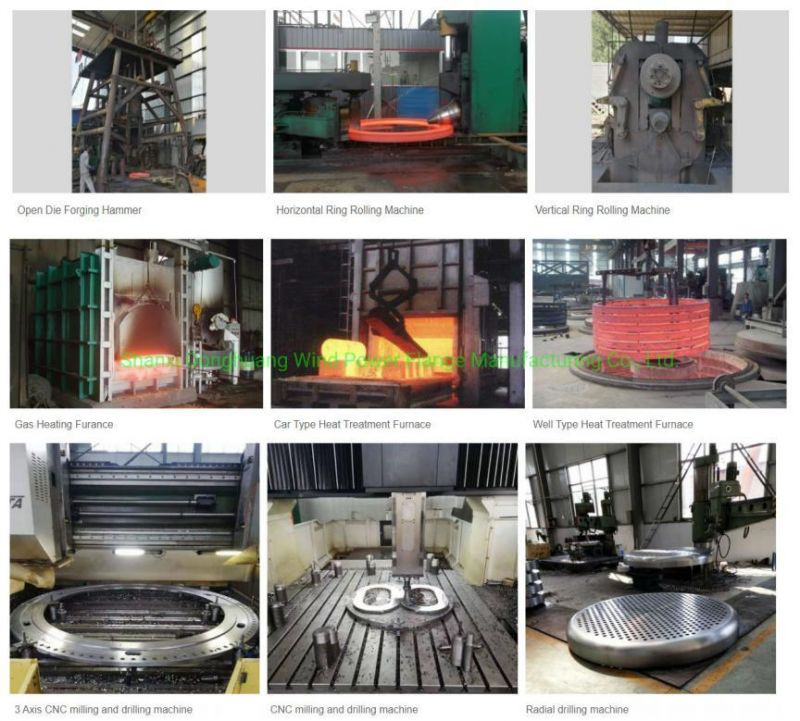 Carbon Steel Flange Sorf Flange Plate Flange Bl Flange Wn RF Flanage