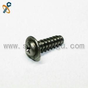 304 Stainless Steel Pan Head with Self Tapping Flat Tail Screw