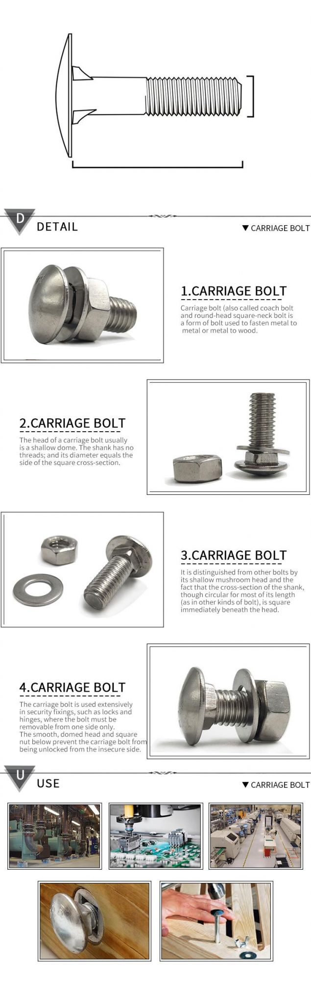 M8 Stainless Steel DIN603 Mushroom Head Round Head Square Neck Carriage Bolt with Hex Nu