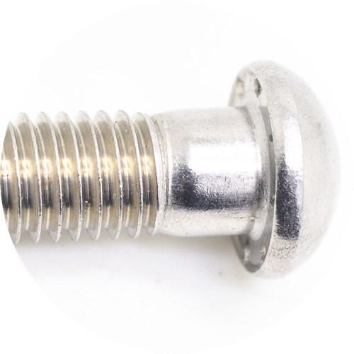 Stainless Steel 304 Button Head Bolt