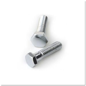 Stainless Steel Hex Screw