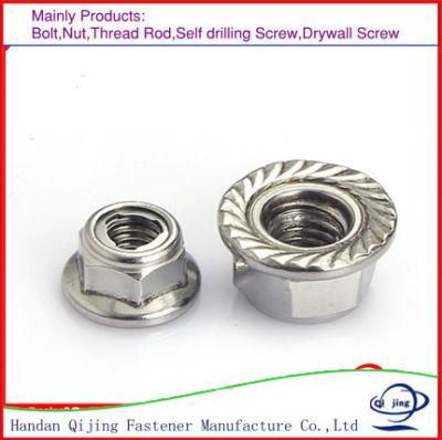 Plain Stainless Steel Hardware Flange Nut Hex Thin Nut A2-70 (M4-M24)