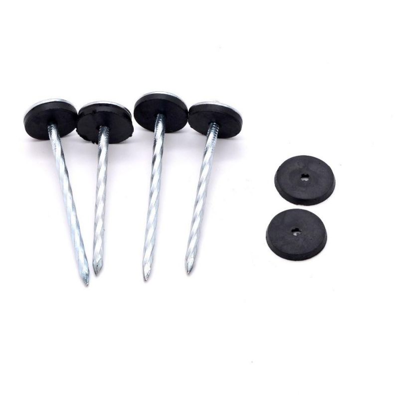 Nigeria Angola Zambia Namibia Market/China Factory Direct Galvanize Capped Umbrella Head Roofing Nails