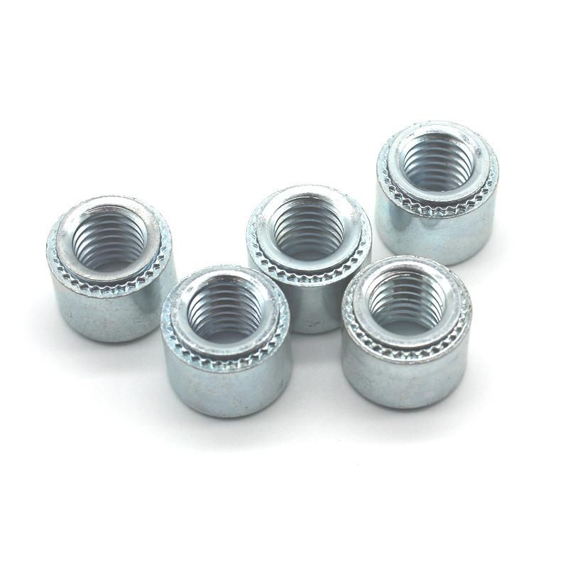 Metric Self-Clinching Nuts, Type S Stainless Steel Rivet Nuts