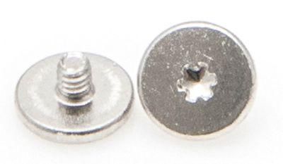 Flat Low Profile Head Torx Plus Drive Fastener Carbon Stainless Steel Screw