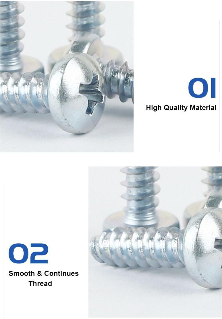 Round Head Screws Phillips Pb Self Tapping Screws