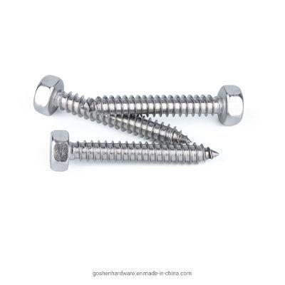 Stainless Steel Hex Head Lag Screws