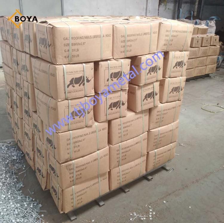 Good Quality Galvanized Umbrealla Head Roofing Nail