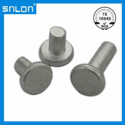 Thin Head Rivet High Quality
