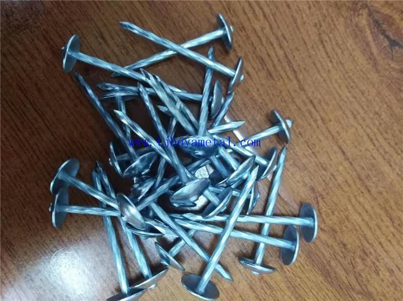 Bolivia Market Calamina Clavos Galvanized Umbrella Head Roofing Nails for Building and Construction