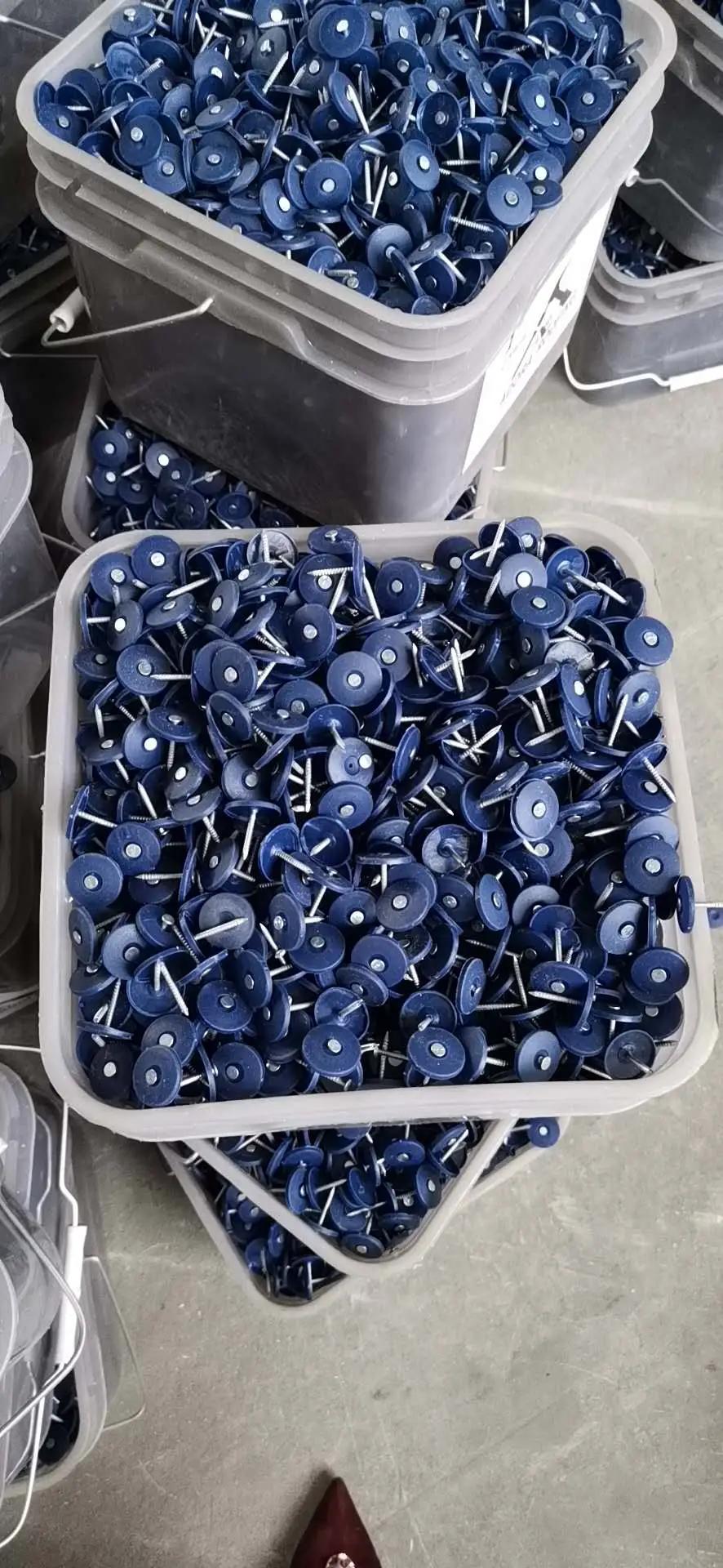 Colorful Cap Nails/Plastic Cap Nails Factory