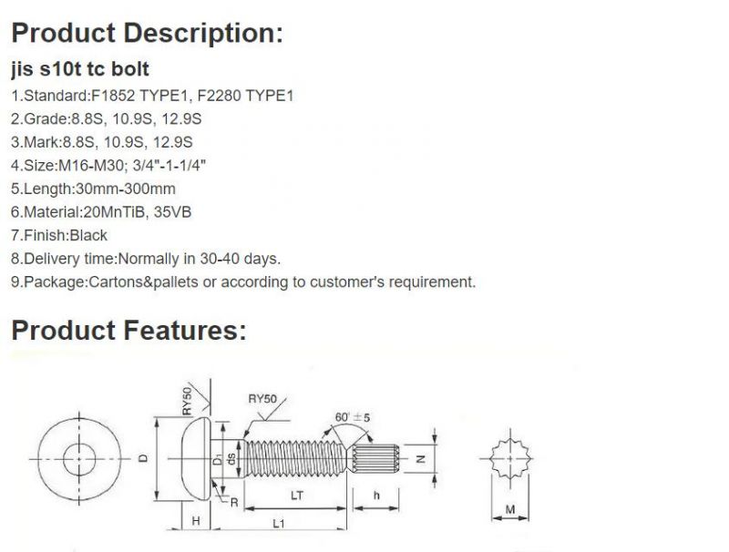 Various Standards Dacromet Hot DIP Galvanizing Tension Control Bolt