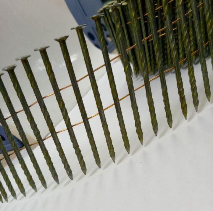 Coil Nails Factory with Lowest Price