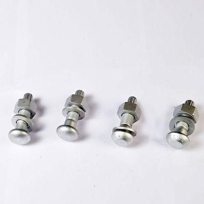 Professional Gi Fastener Manufacturer Tensile Control Bolt Different Types Nuts Bolts with High Strength Made in China