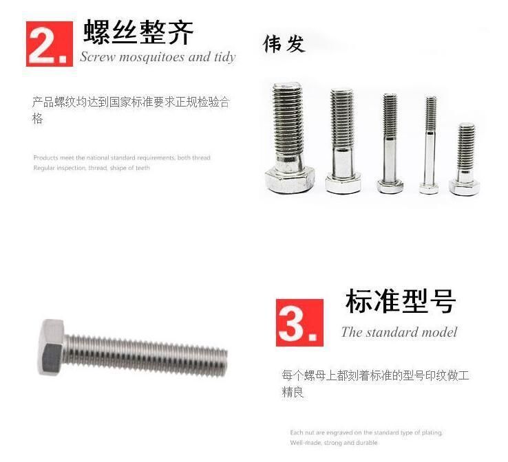 Factory Direct Sales Factory Price Direct Sales Professional Stainless Steel Screw M16 Series
