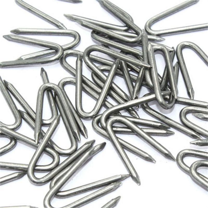 U-Shaped Nail Staples Pins