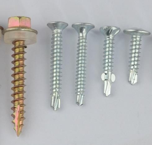 Screw Self Drilling Screw Factory China