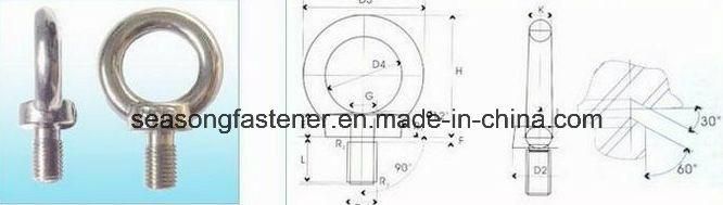 Eye Bolt / Eyebolt (DIN580)