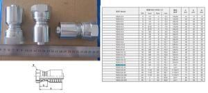 Hose Fitting-19243-16-12