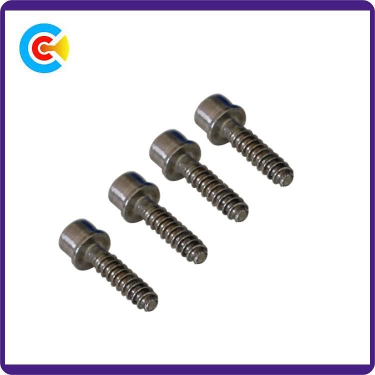 DIN/ANSI/BS/JIS Carbon-Steel/Stainless-Steel 4.8/8.8/10.9 Galvanized Hexagon Socket with Internal Tapping Screw