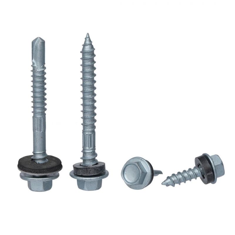 Stainless Steel Tapping Screws/Drilling Screws/Furniture Screws/Hex Flange Head Screws/Hex Socket Screws/Dry Wall Screws/Core Plate Screws