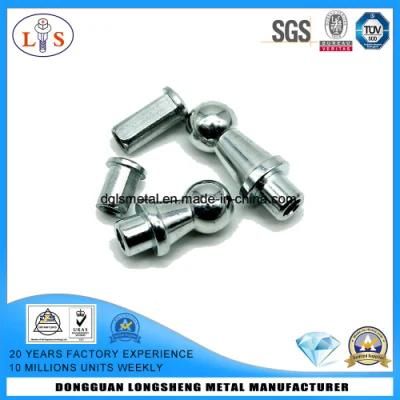 Factory Price Rivet with High Quality