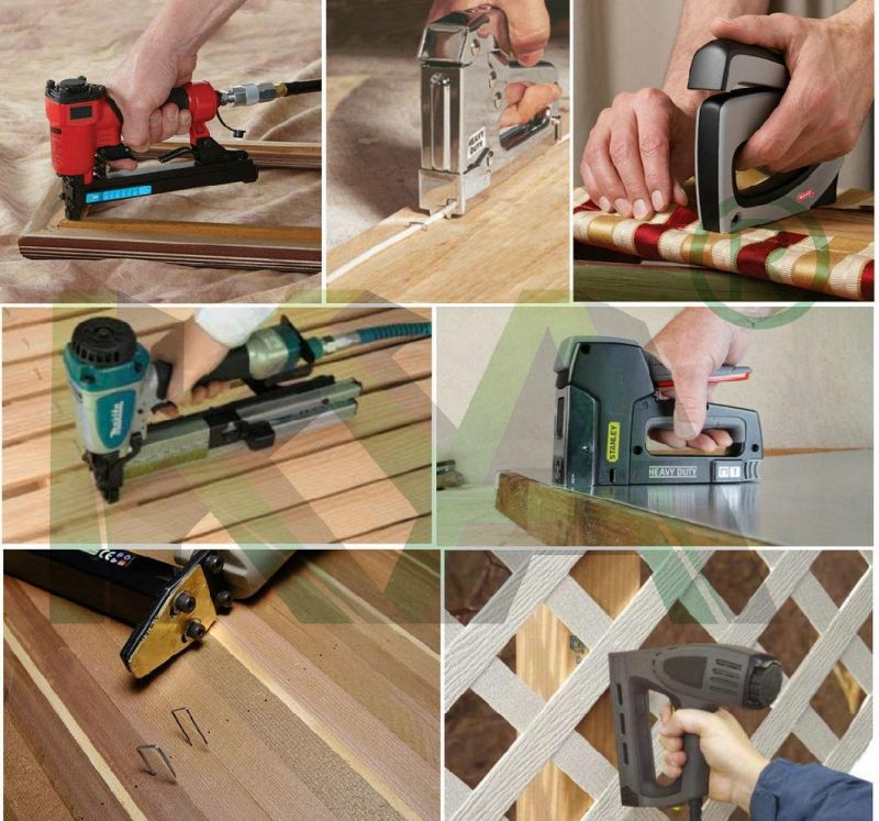 20 Gauge 1/2 Inch Wide Crown Staples for Staple Gun