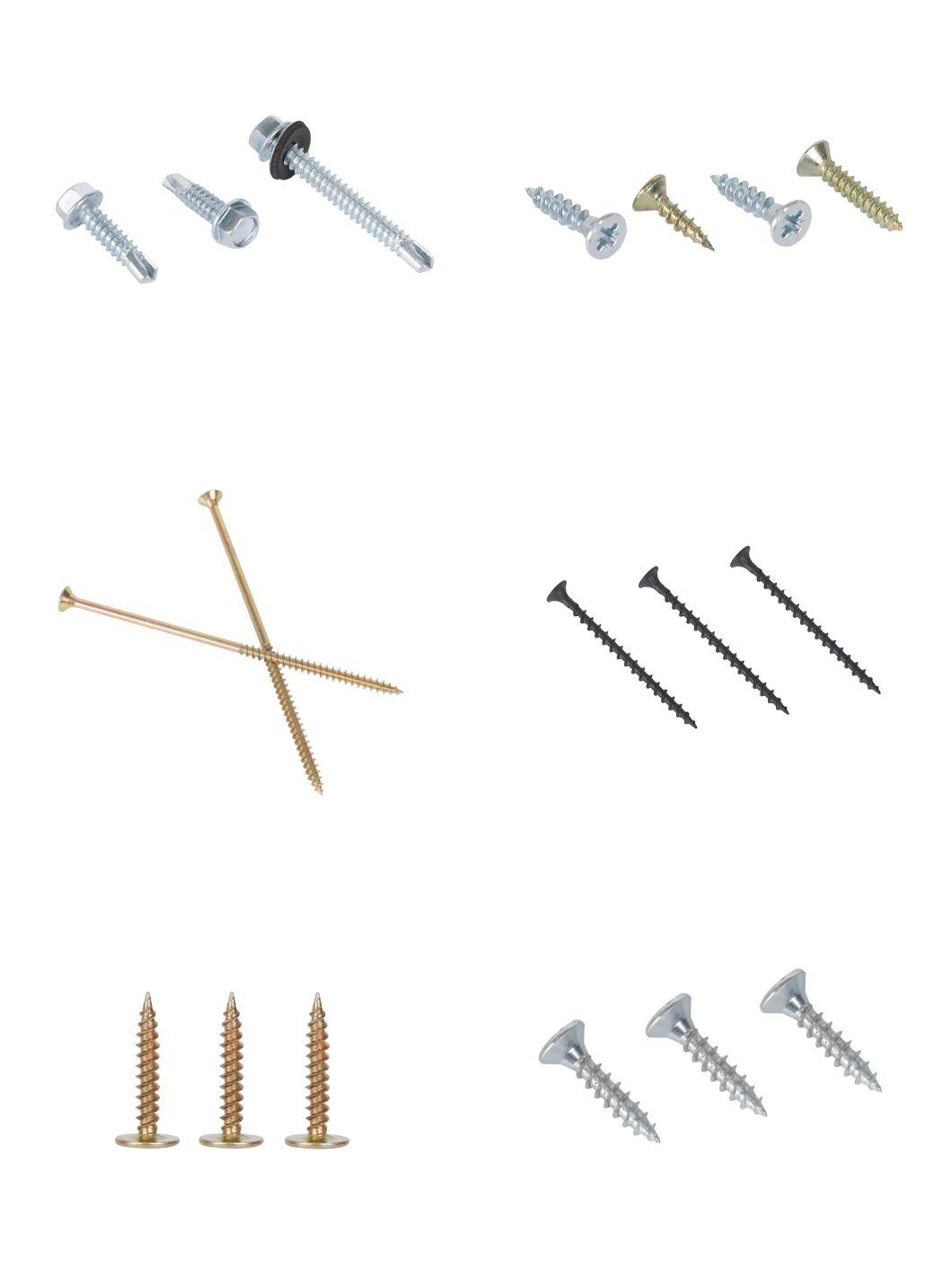 Customized Zinc Plated China Factory Self Drilling Screw/Drywall Tapping Screw