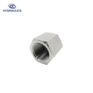 Stainless Steel Hydraulic Nipple/Hydraulic Hex Nipple/Hydraulic Adapters