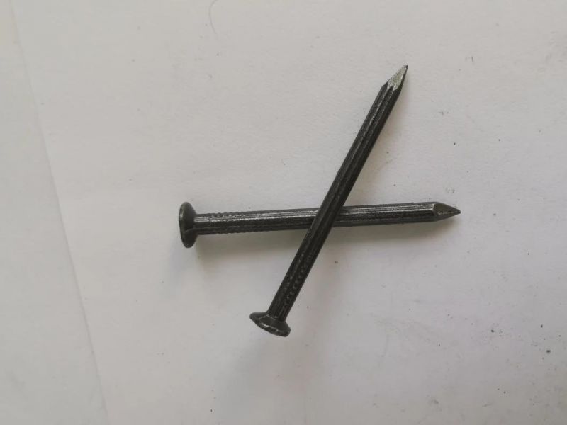 Manufacturer Concrete Nails with Oil
