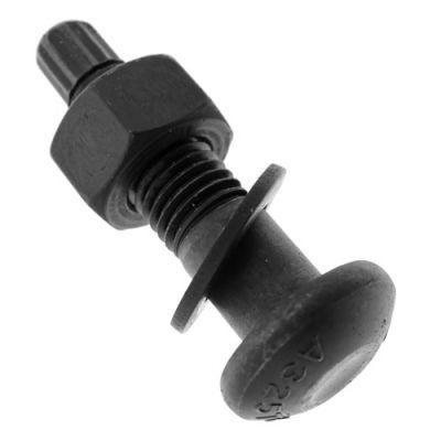 ASTM-Tension Control Bolt A325 2&prime; &prime;