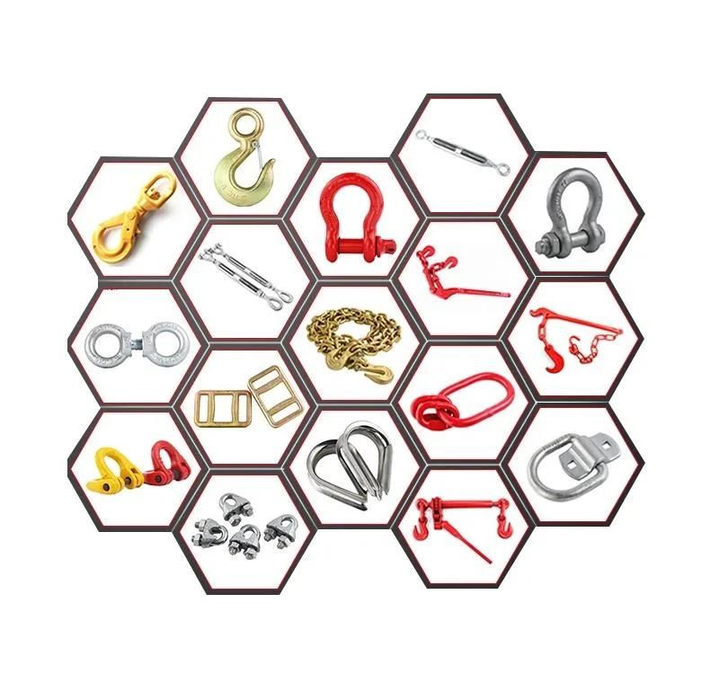 Quick Connecting European/Us Standard G80/G100 Alloy Steel/Stainless Steel Forged/Welded/Weldless Round/O/Circular Ring with Surface Treatment