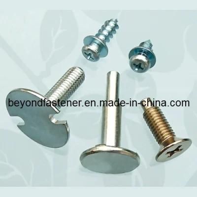 Big Head Screw Special Bolts Terminal Cover Screw