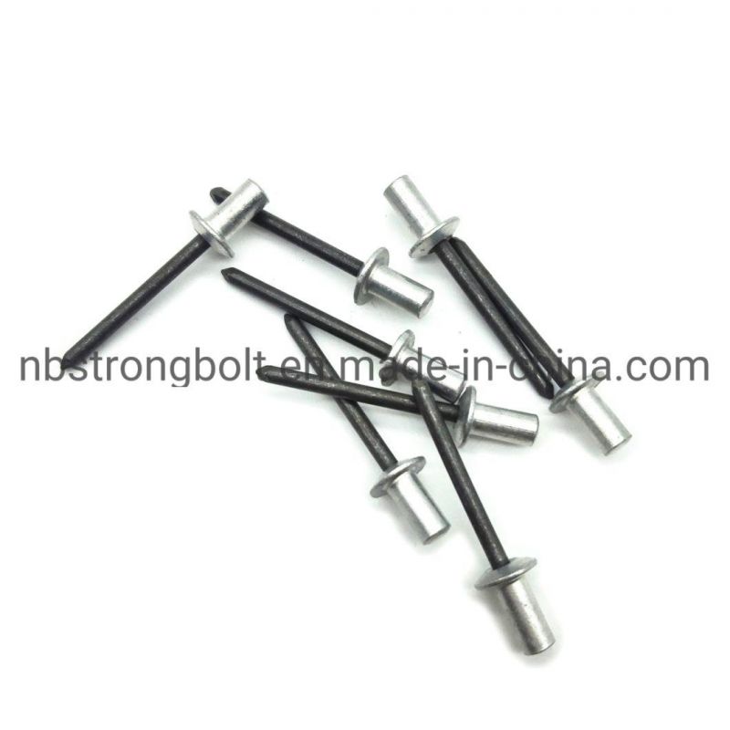 Enclosed Type Aluminum/ Steel Counter Sunk Head Blind Rivet