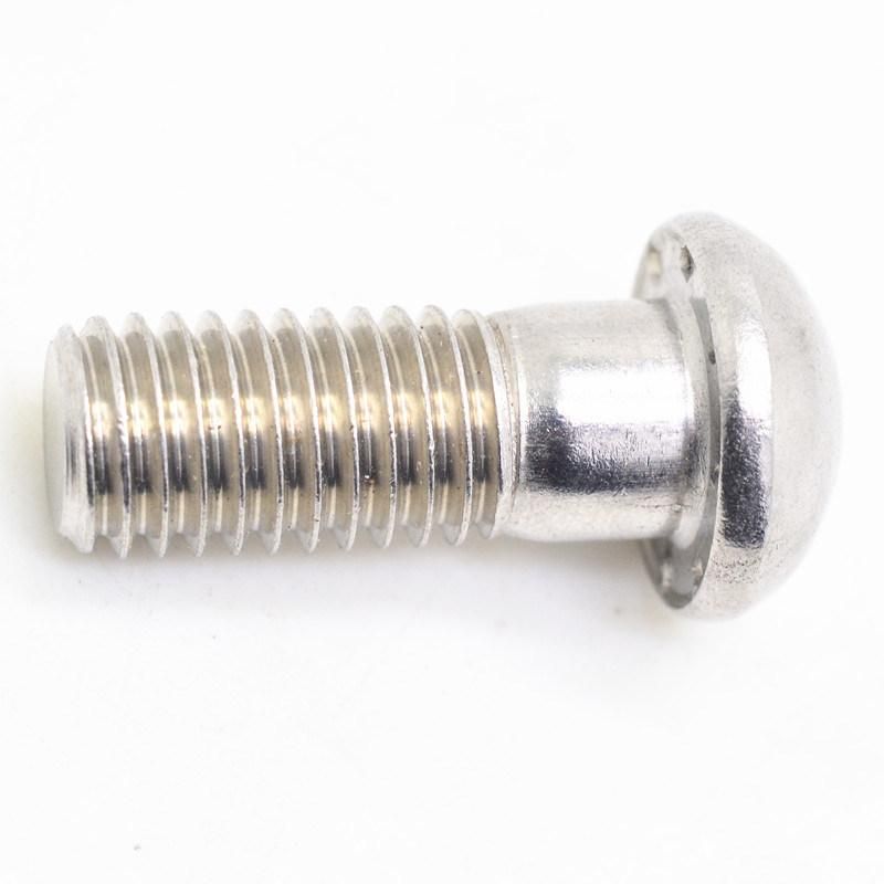 Stainless Steel 304 Button Head Bolt