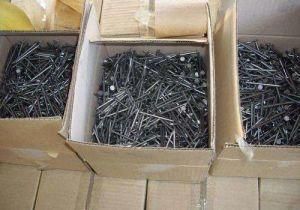 Wholesale High Quality Stainless Steel Coil Nails for Construction