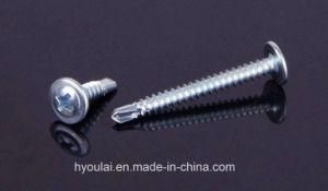 Pan Head Washer Self Drilling Screw Self Tapping Screws Zinc Plated DIN7504m