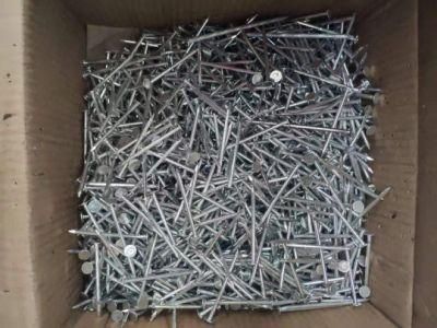 Polished/Galvanzied Steel Clout Nail Felt Nail Big Head Nails