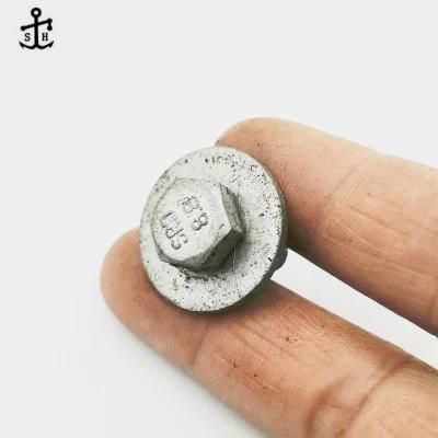 Grade 8.8 Hex Head and Plain Washer Combination Bolt Made in China