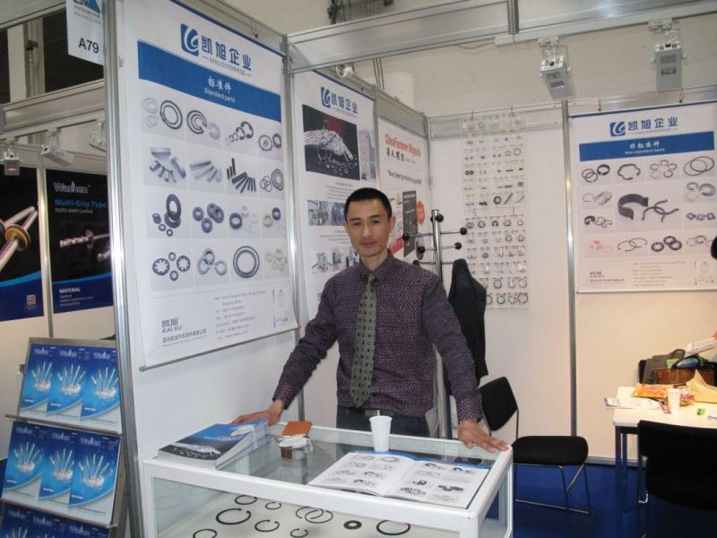 DIN1481/GB879/ISO8752/Slotted Spring Pin /Heavy Type Spring Loaded Pin/ Threaded Spring Pin