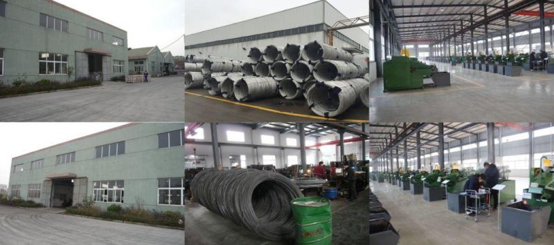 High Quality DIN912 Stainless Steel Socket Head Cap Screw with ISO Certification